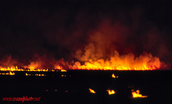 Bush Fire in Australia