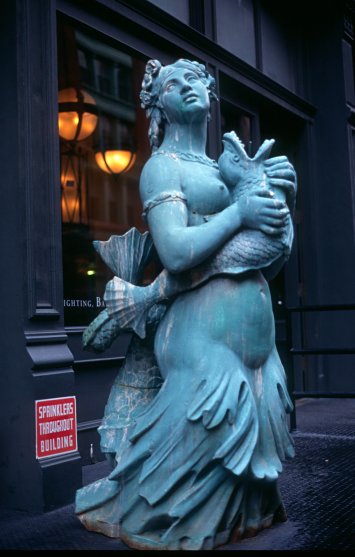 Mermaid in Ney York