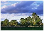 Click for thumbnails. South Africa.