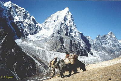 Mount Cholatse