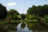 Virginia Scene