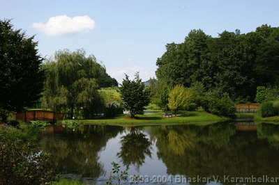 Virginia Scene