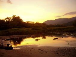 tambor beach mrw P1090263