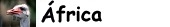 Galer&iacute;a de Africa