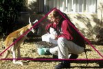 Feeding a Kangaroo, Alice Springs, Australia