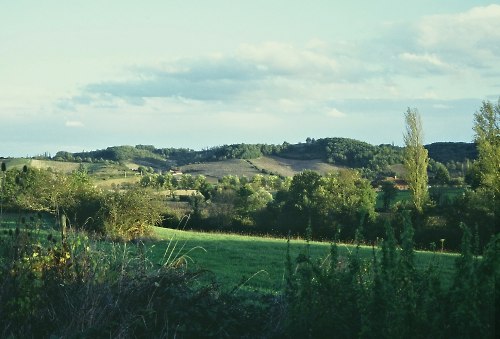countryside.