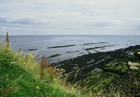 Coast near St. Andrews.