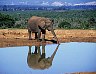 ../../pictures/africa/000007.jpg