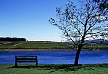 Winelands Scene.