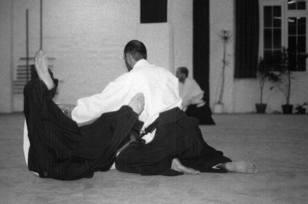 Aikido Dojo Wiesbaden