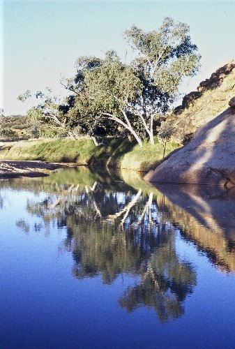 A small pool near Alice Springs