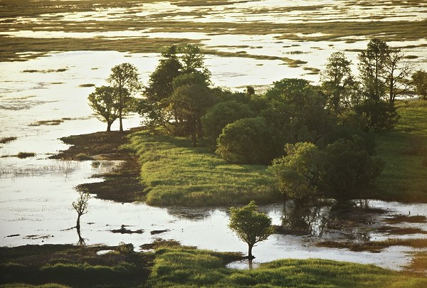 Kakadu: swamps in the evening light. Photo: L. Bobke