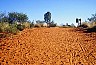 Ulara: footpath. - All Australia photos by Laurenz Bobke.