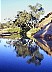 A small pool near 'the Alice'. - All Australia photos by Laurenz Bobke.