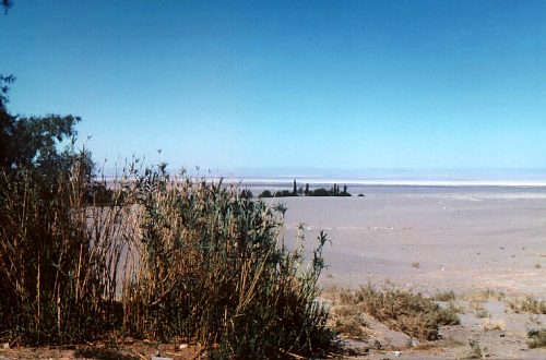 Atacama-desert & Oasis Photo: L. Bobke