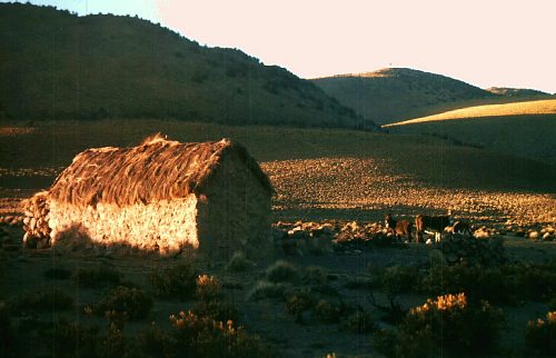 Hut at the Salar de Surire. Photo: L. Bobke