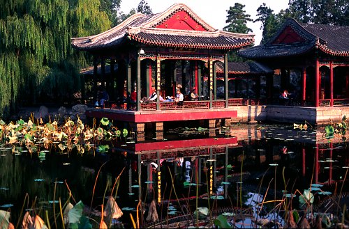 Pavillion at the lotos pond