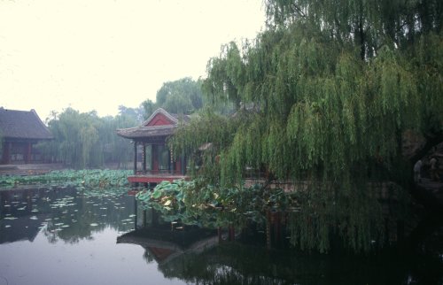 Rain at the summer palace. 