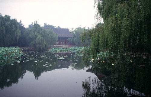 Rain at the summer palace. 