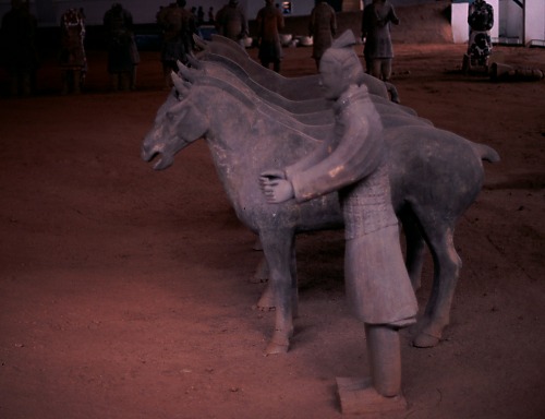 Terracotta Warrior and horses