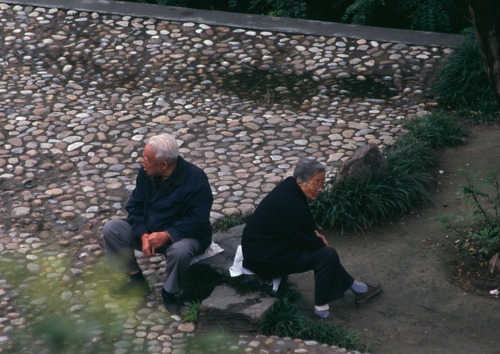 Couple sitting in the park.