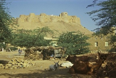 Jaisalmer, a 'rural perspective'... Photo: L. Bobke