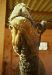 Rajasthan (Bikaner): camel.