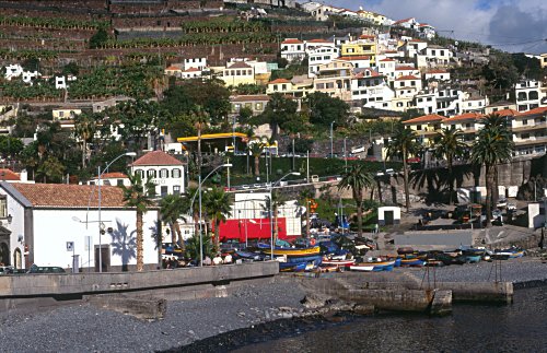 Camara de Lobos , Madeira
