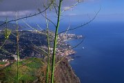 View from Cabo Girao. Click to visiti the first gallery of Madeira Pictures.