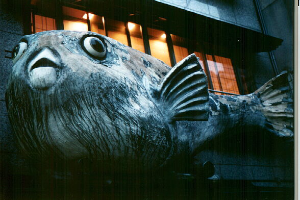 Reklame fr ein Fugu-(Kugelfisch-) Restaurant in Kyoto